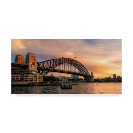 Danny Head 'Harbor Bridge' Canvas Art,16x32